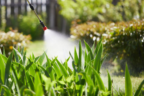 Tamper-Resistant Bait Stations for Rodents in Hillcrest