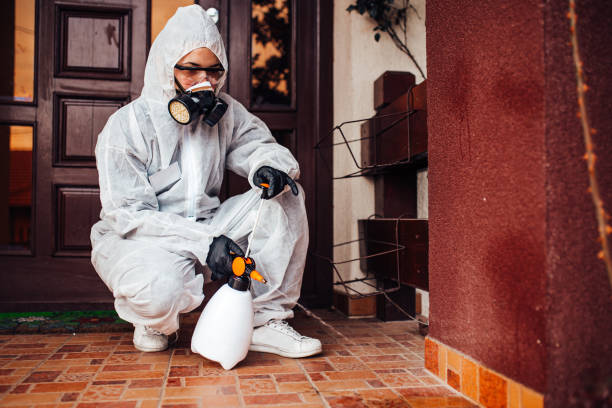Attic and Crawl Space Rodent Treatment in Hillcrest